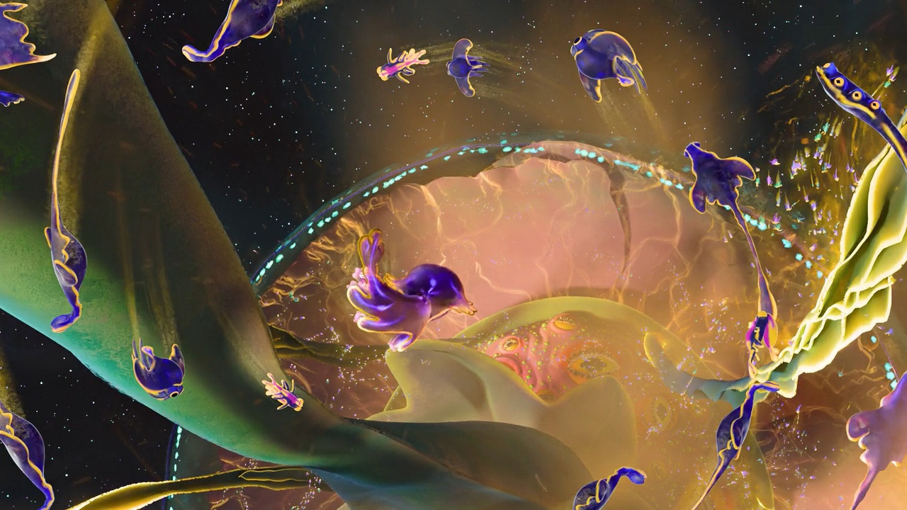 Trails and Tribulations